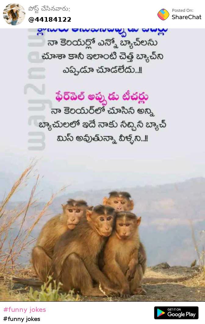 Share chat 2024 telugu funny