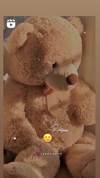 cute teddy bear Images • Cute girl and teddy (@1009146569) on ShareChat