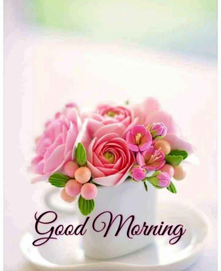 good morning ji Images • ↙️🌴↩️ARYAN↩️🌴↙️🔱RAJ🎸🎄 (@sonjraj) on ShareChat