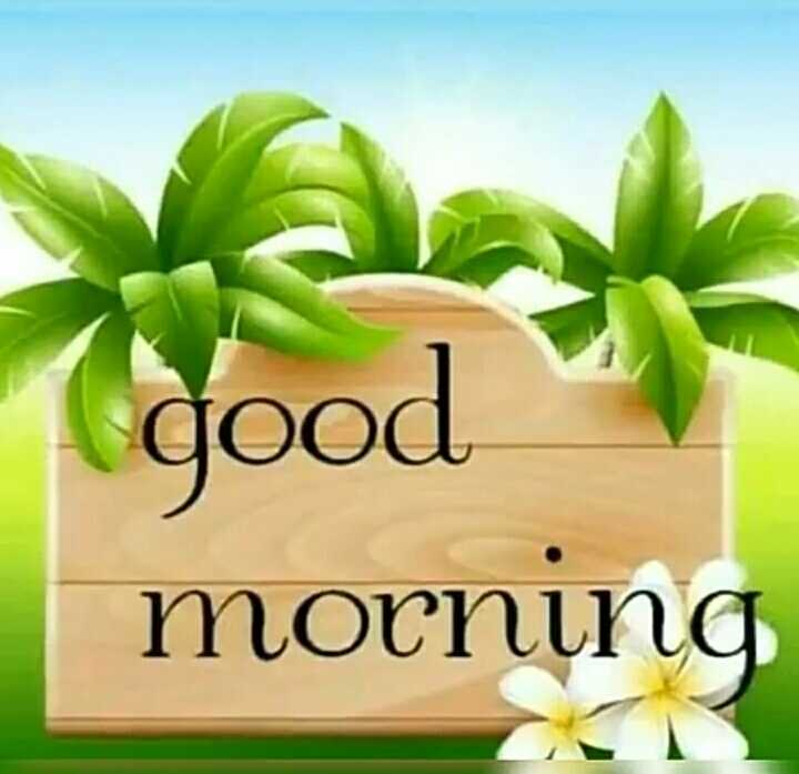 good-morning-meaning-sharechat-photos-and-videos