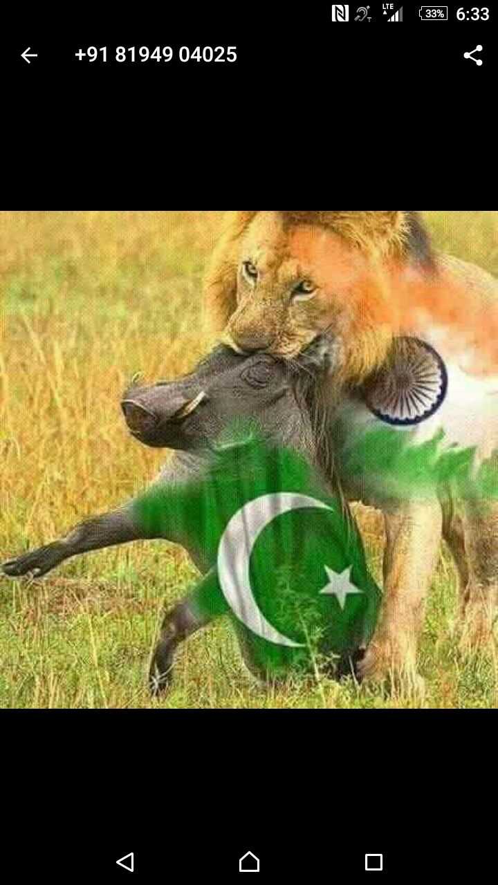 green pakistani lion