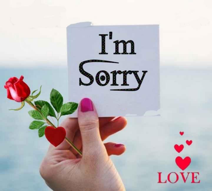 i am sorry... - I'm Sorry LOVE - ShareChat