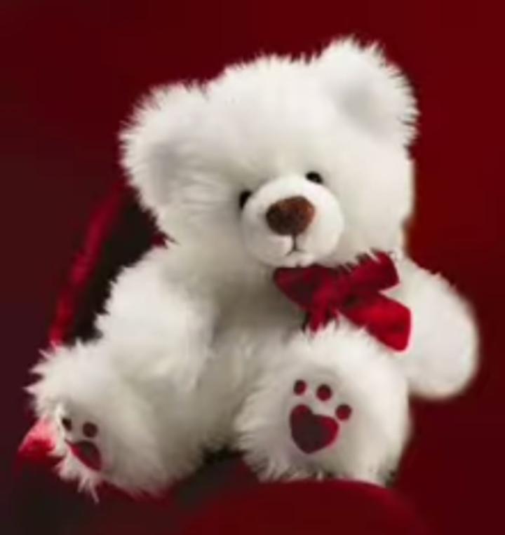 Teddy images best sale for whatsapp profile