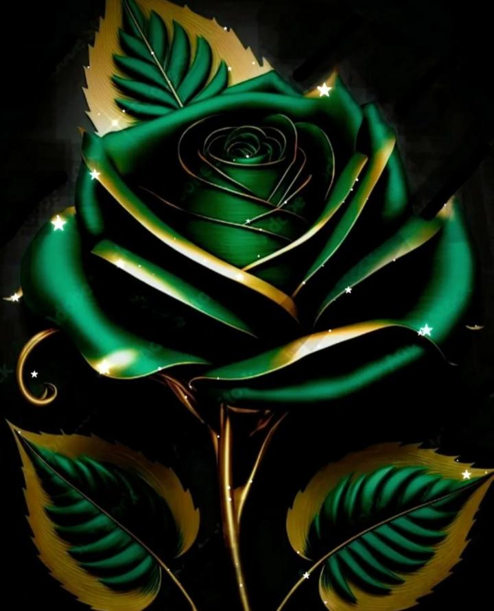 bunch of green roses wallpaper