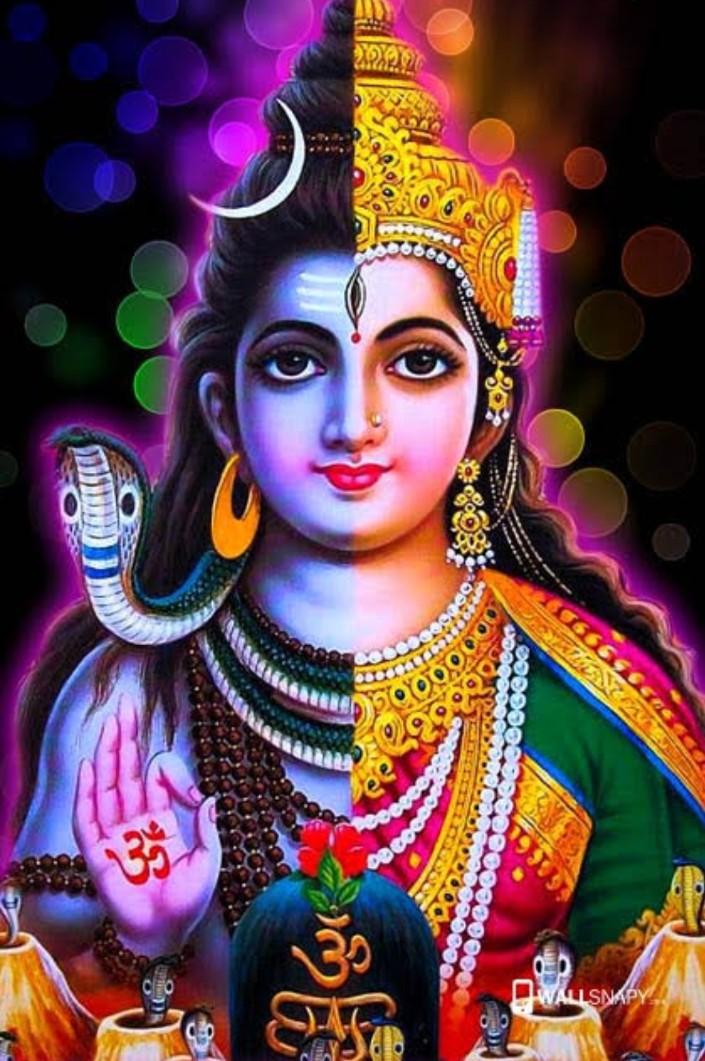 Ardhnarishwar, beautiful depiction of Lord Shiva | Shiva shakti, Shiva art,  Lord shiva painting