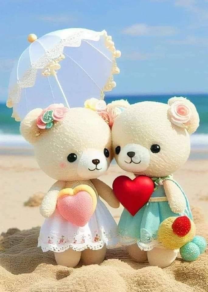 I store love teddy