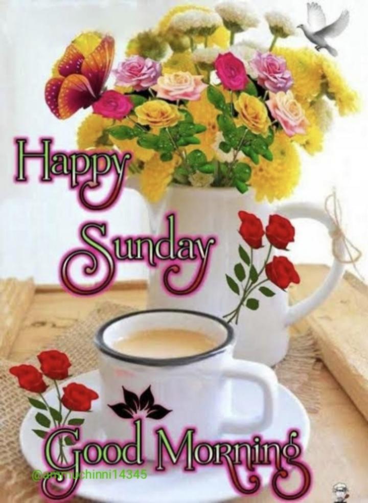 81+ Happy Sunday Good Morning Images Photos HD Download
