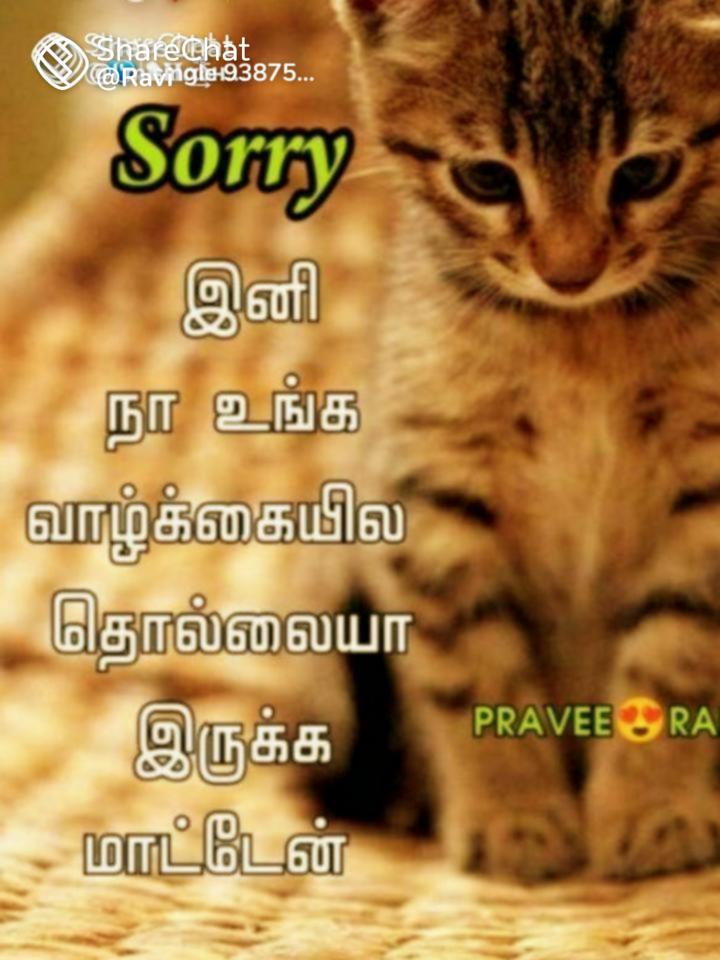 SCAREDY CAT tamil meaning/sasikumar 