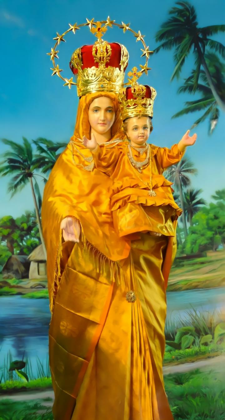 Polyresin Statue Our Lady of Health Annai Velankanni Mary Statue for Table  Showpiece Decor Arokya Matha Gift