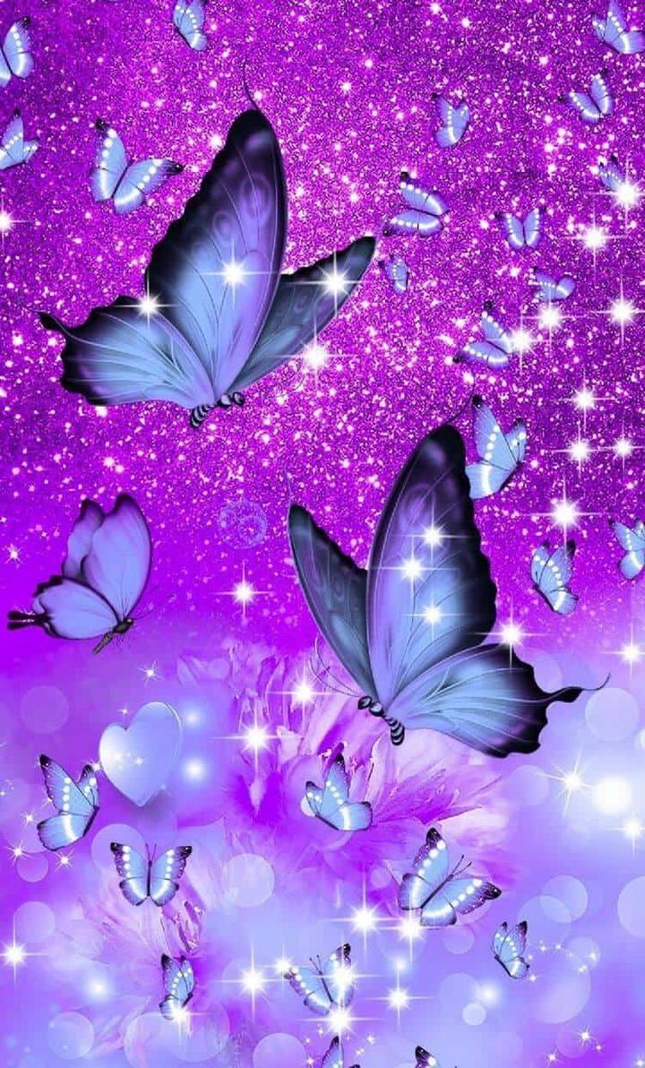 73 Purple Butterfly Wallpapers  WallpaperSafari