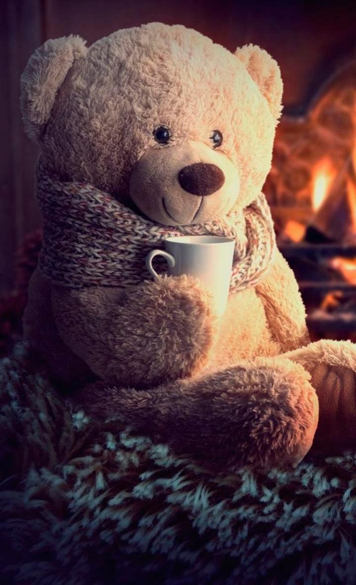 teddy lover • ShareChat Photos and Videos