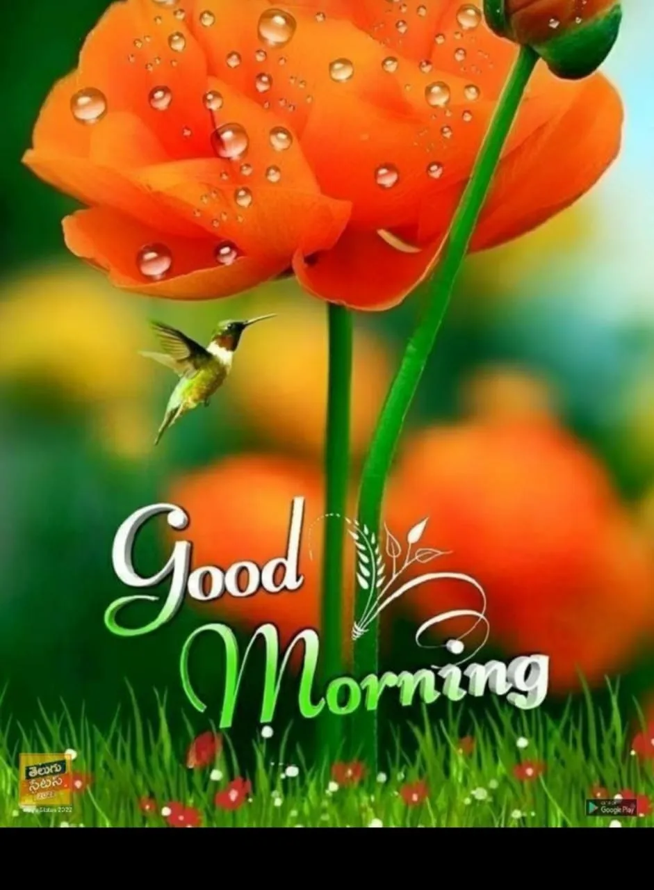 good morning good morning good morning Images • arjun (@arjungharu1536) on  ShareChat