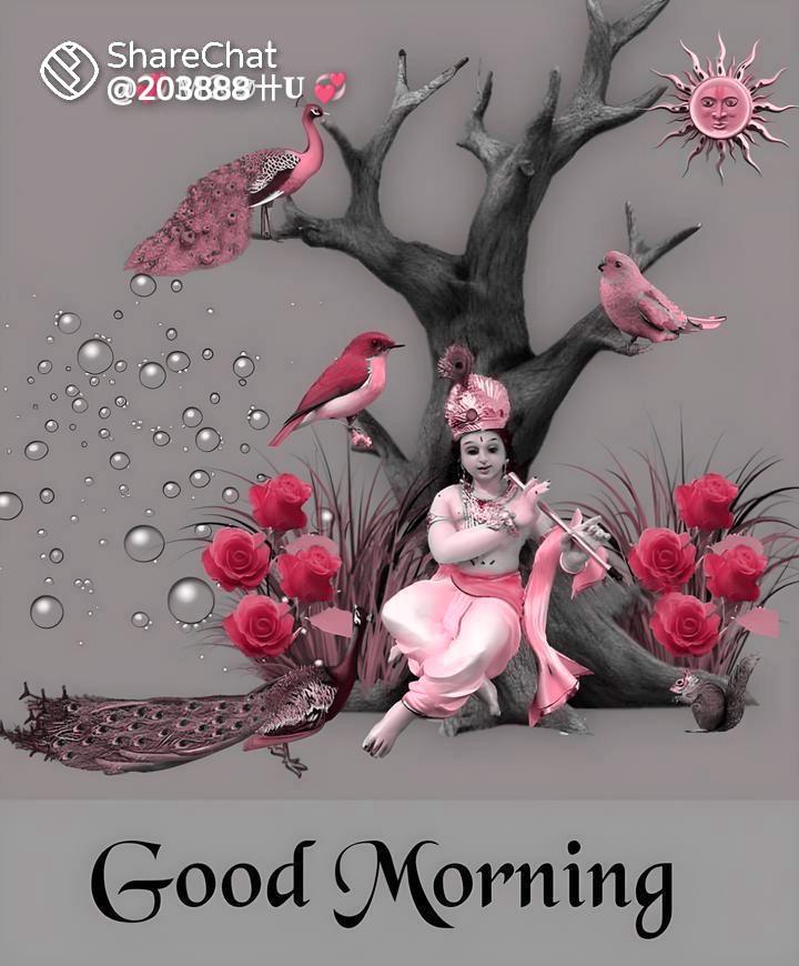 🌞 Good Morning🌞 Images • -💞💞💞Arjun❤❤❤ (@473756127) on ShareChat