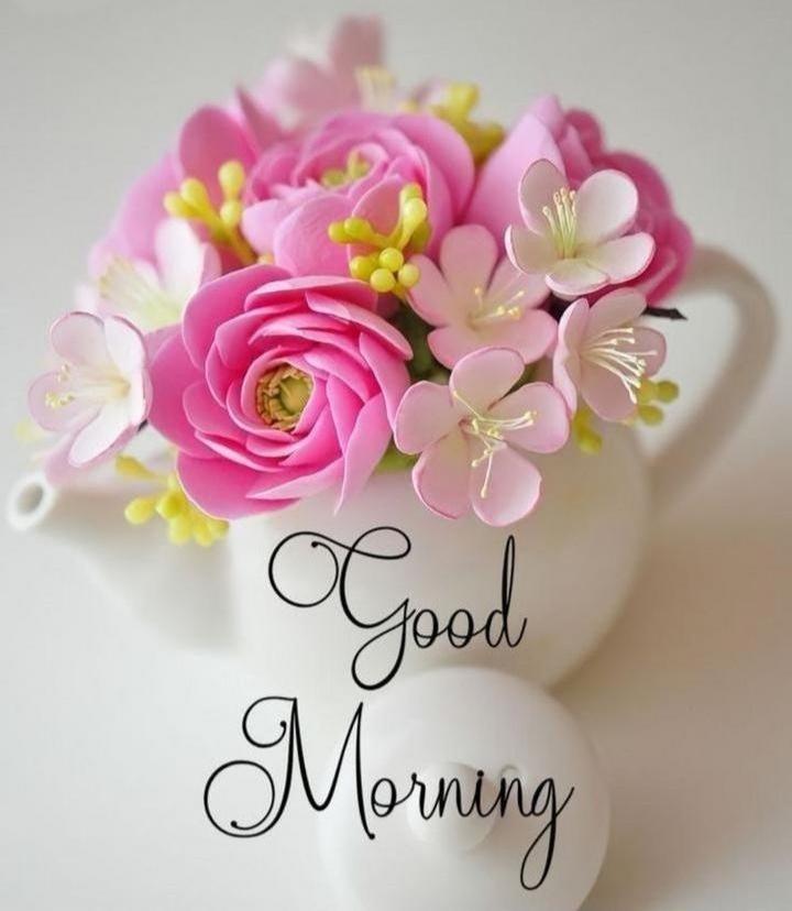 good morning Images • Shiv prajapti Shiv prajapti (@2694213843) on ShareChat