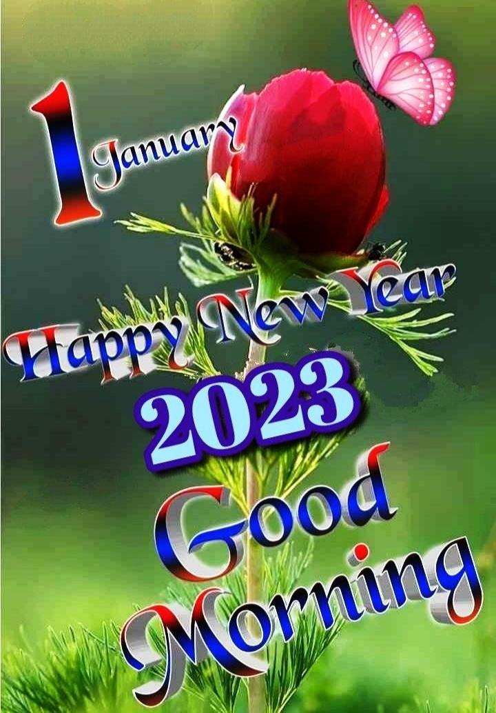 Happy new deals year good morning