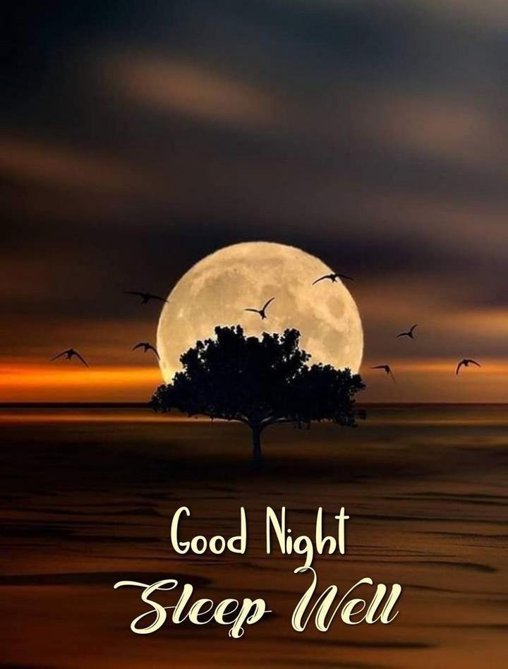 Good night deals sleep well