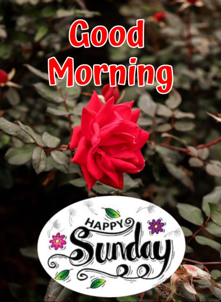 Good morning deals sunday images hd