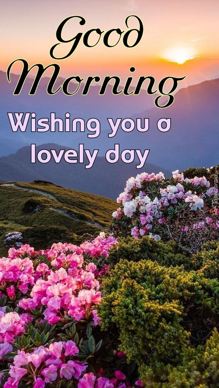 good morning friends have lovely day