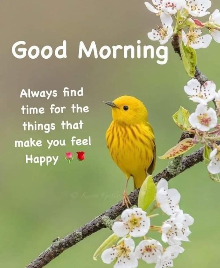 happy morning images