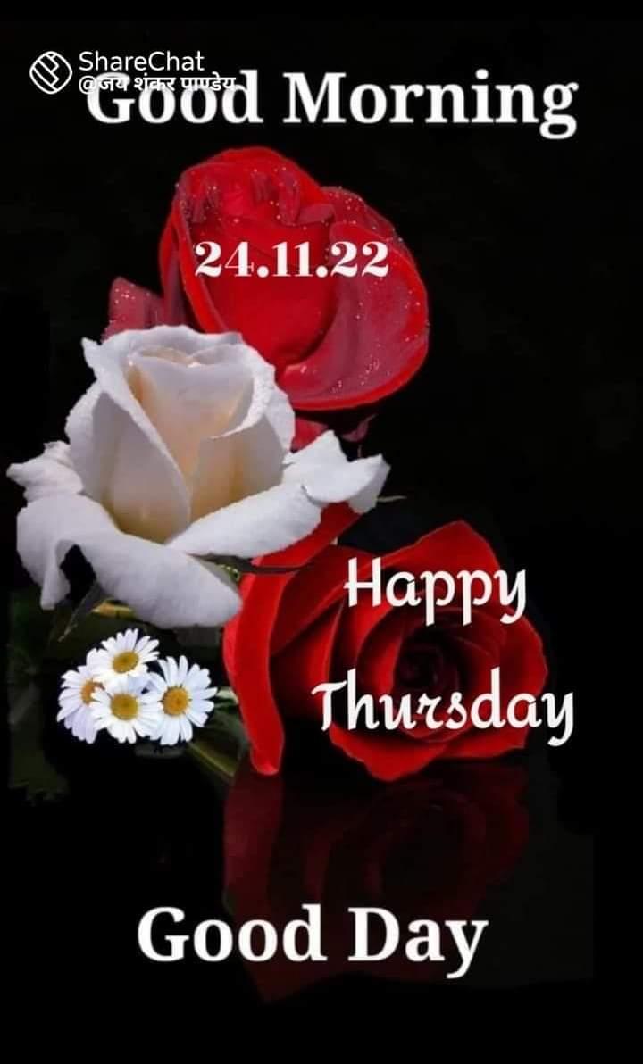 Happy Thursday  Images • love you Zindagi ...