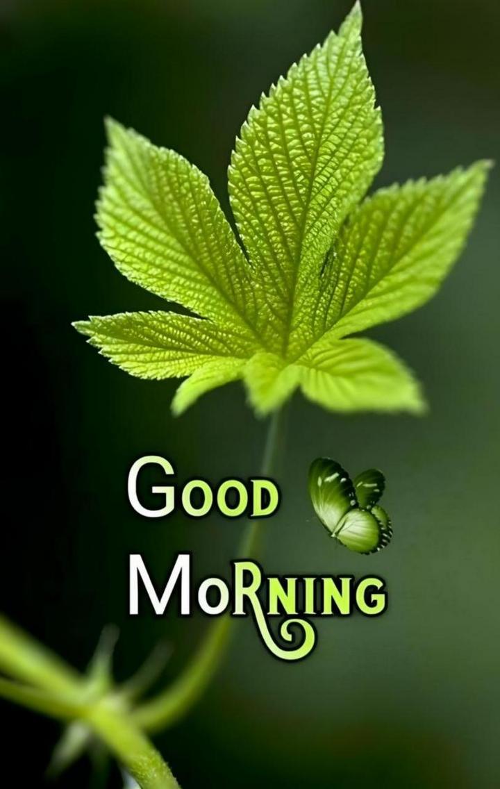 Good morning Images • . (@400531900) on ShareChat
