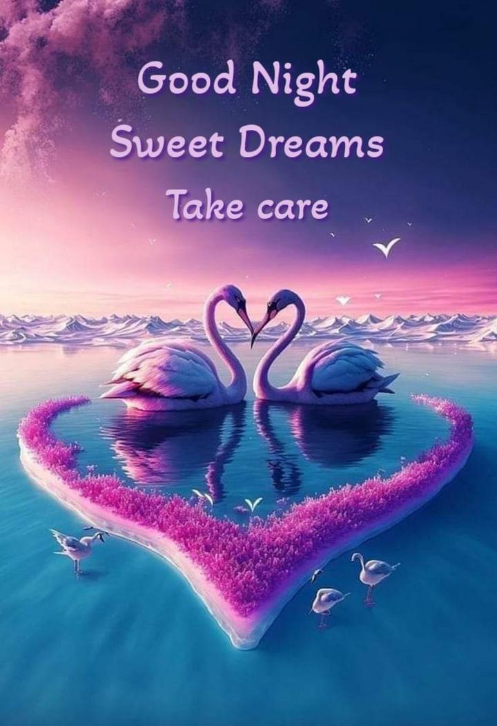 GOOD NIGHT SWEET DREAMS TAKE CARE Images • Its--Sumant❤️@9556 (@itssumant)  on ShareChat