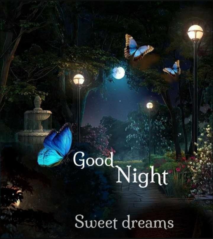 Good Night, Sweet Dreams  Good night sweet dreams, Good night