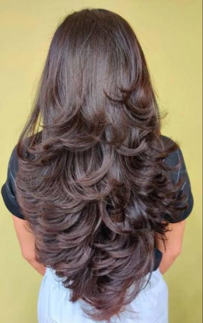 2022 Latest Hair Cutting Style For Female 2023 | Parlours India