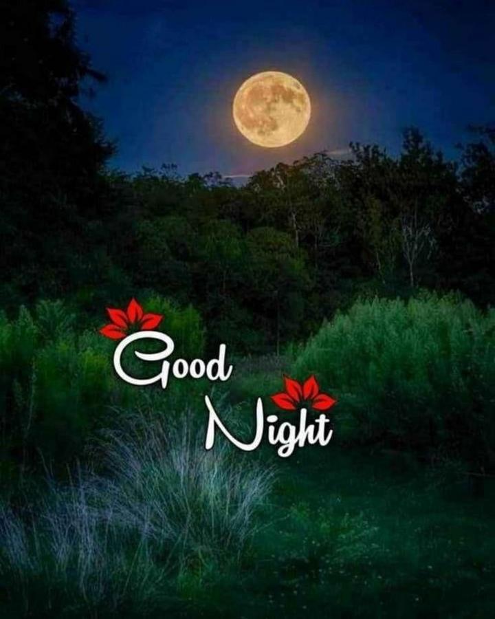 good night friends images hd