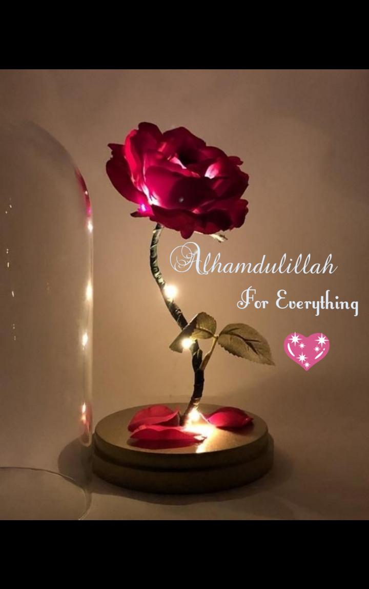 😊Alhamdulillah for everything😊 Images • princess 👸 (@418122963) on  ShareChat