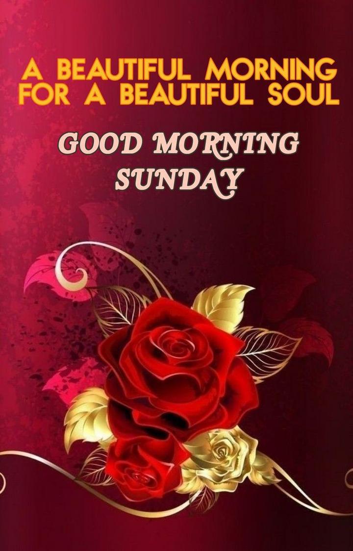 good morning happy sunday Images • Its--Sumant❤️@9556 (@itssumant) on  ShareChat