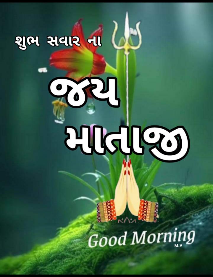 🌅 Good Morning Images • ⚔️Ⓜ️vadher⚔️ (@mayurvadher) on ShareChat