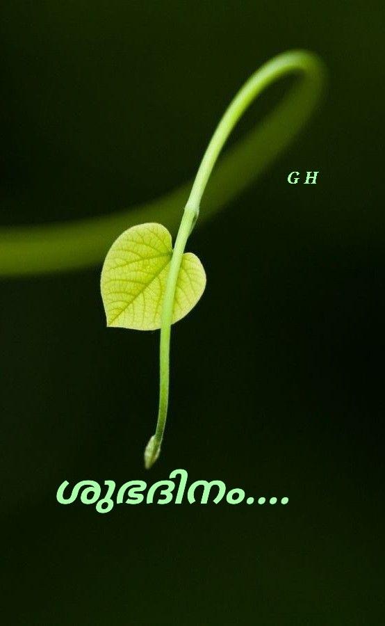 🙂 ശുഭദിനം Images • 𝐆𝐨𝐥𝐝𝐞𝐧 𝐇𝐢𝐭𝐬 (@05goldenhits) On ShareChat