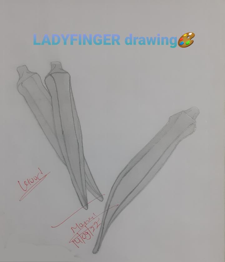 Finger m02csf Drawing Human leg okra angle white png  PNGEgg
