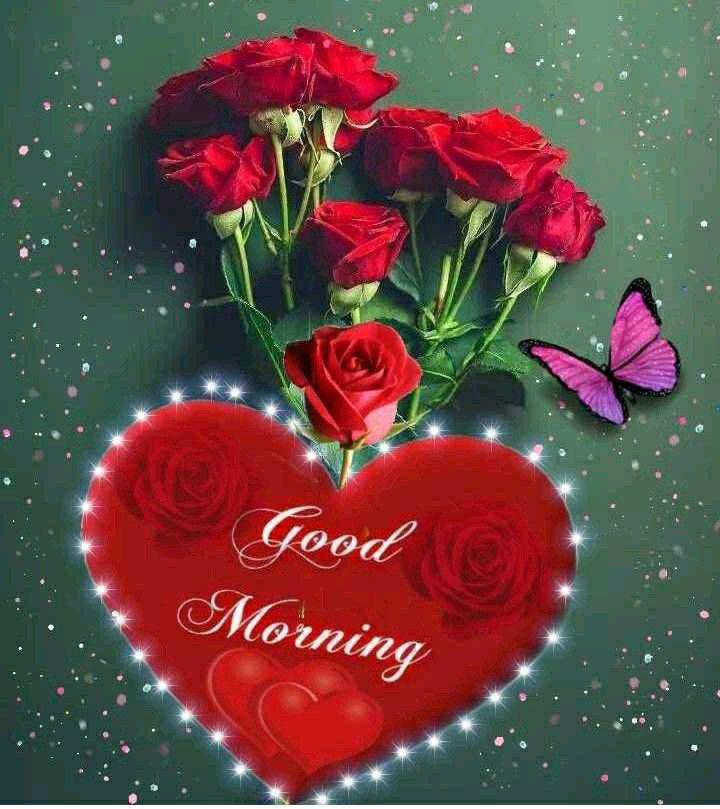 good morning love roses