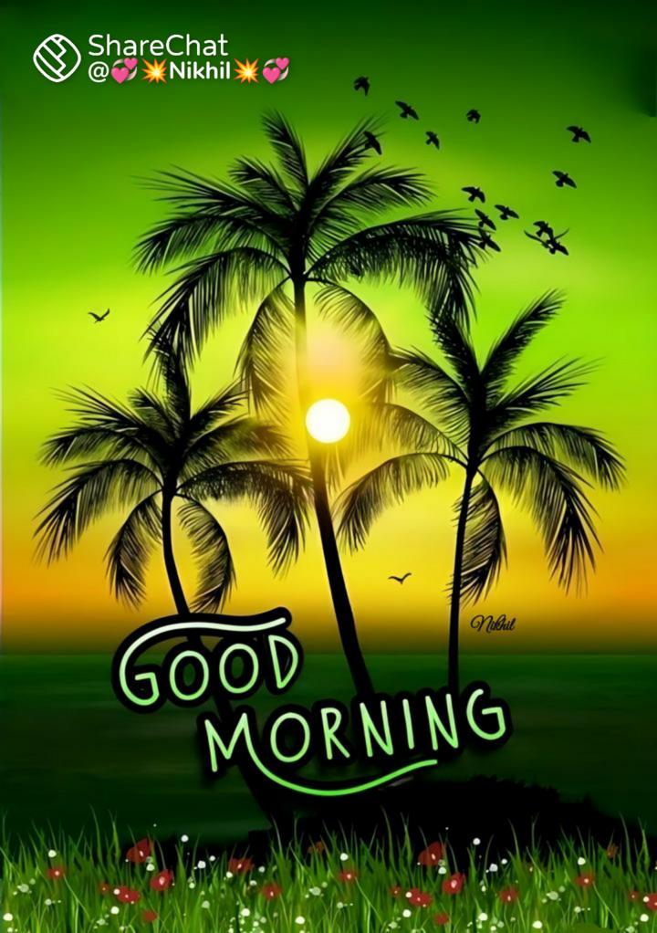 Love Wallpapers In Good Morning Pictures  Good Morning Images Quotes  Wishes Messages greetings  eCards