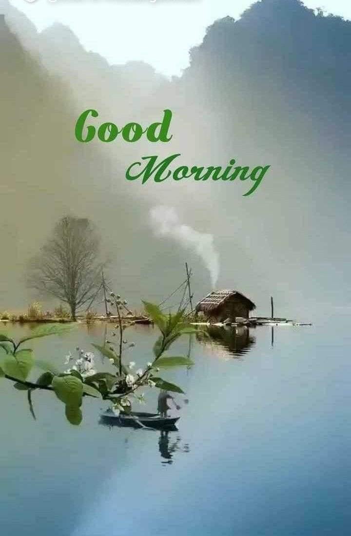 good morning everyone  Images • Mr Vicky (@20659593) on ShareChat