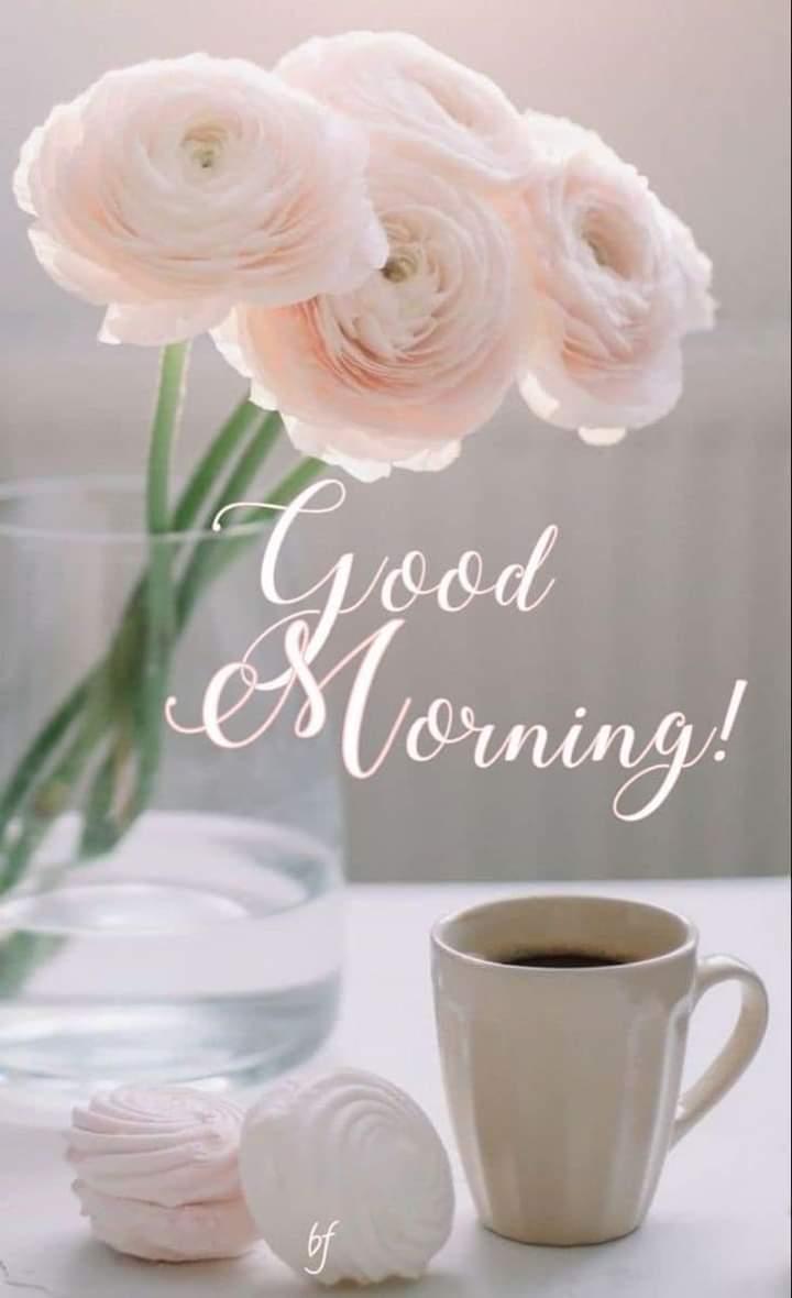 good morning everyone  Images • Mr Vicky (@20659593) on ShareChat