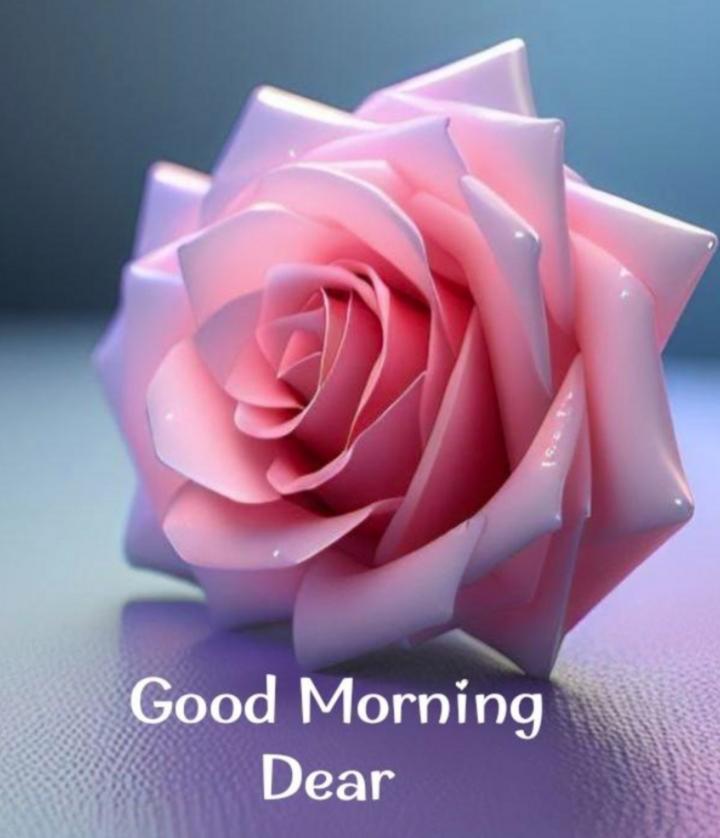 Good Morning Wishes With Rose