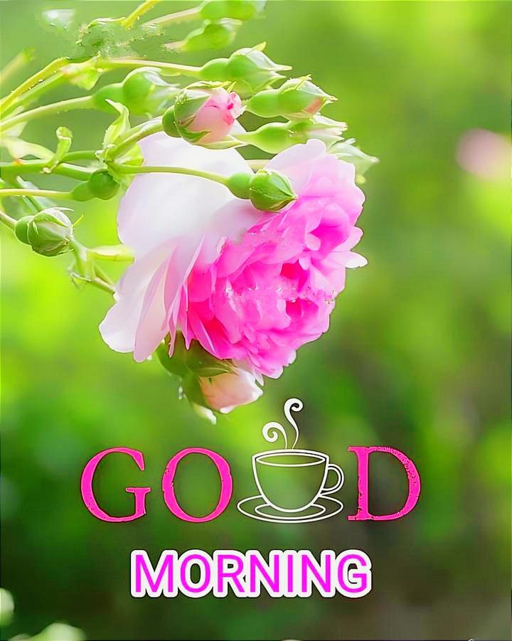 Sharechat good morning deals photo