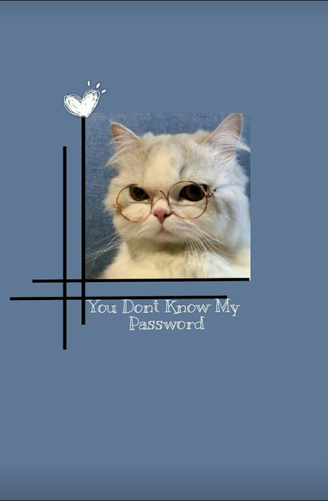 WTF Is My Password: Internet Password Log book Notebook; Avocado Green;  Small 6x9: Publishing Co., Orange Wednesday: 9798771482101: Amazon.com:  Books