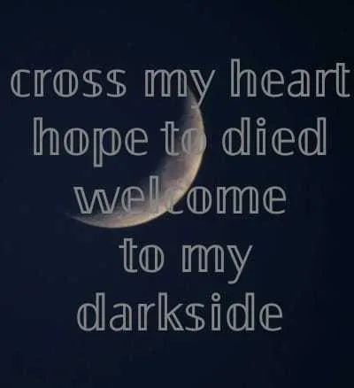 Cross my heart and hope that when I die its with you…. #drake #thewee