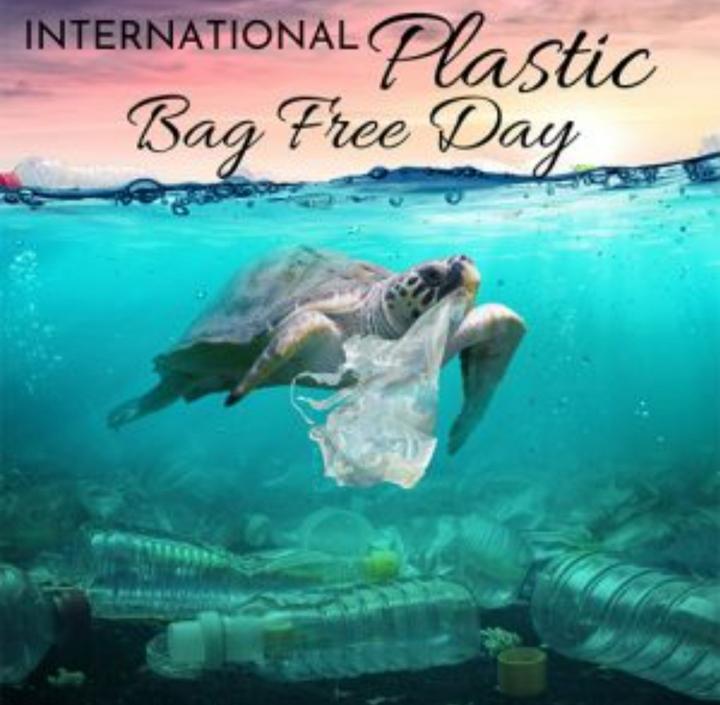 International Plastic Bag Free Day 2022 ಪಲಸಟಕ ಪರಸರಕಕ ಮತರವಲಲ  ಆರಗಯಕಕ ಡಜರ 