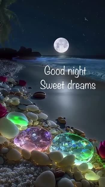 Good Night, Sweet Dreams  Good night sweet dreams, Good night funny, Cute  good night