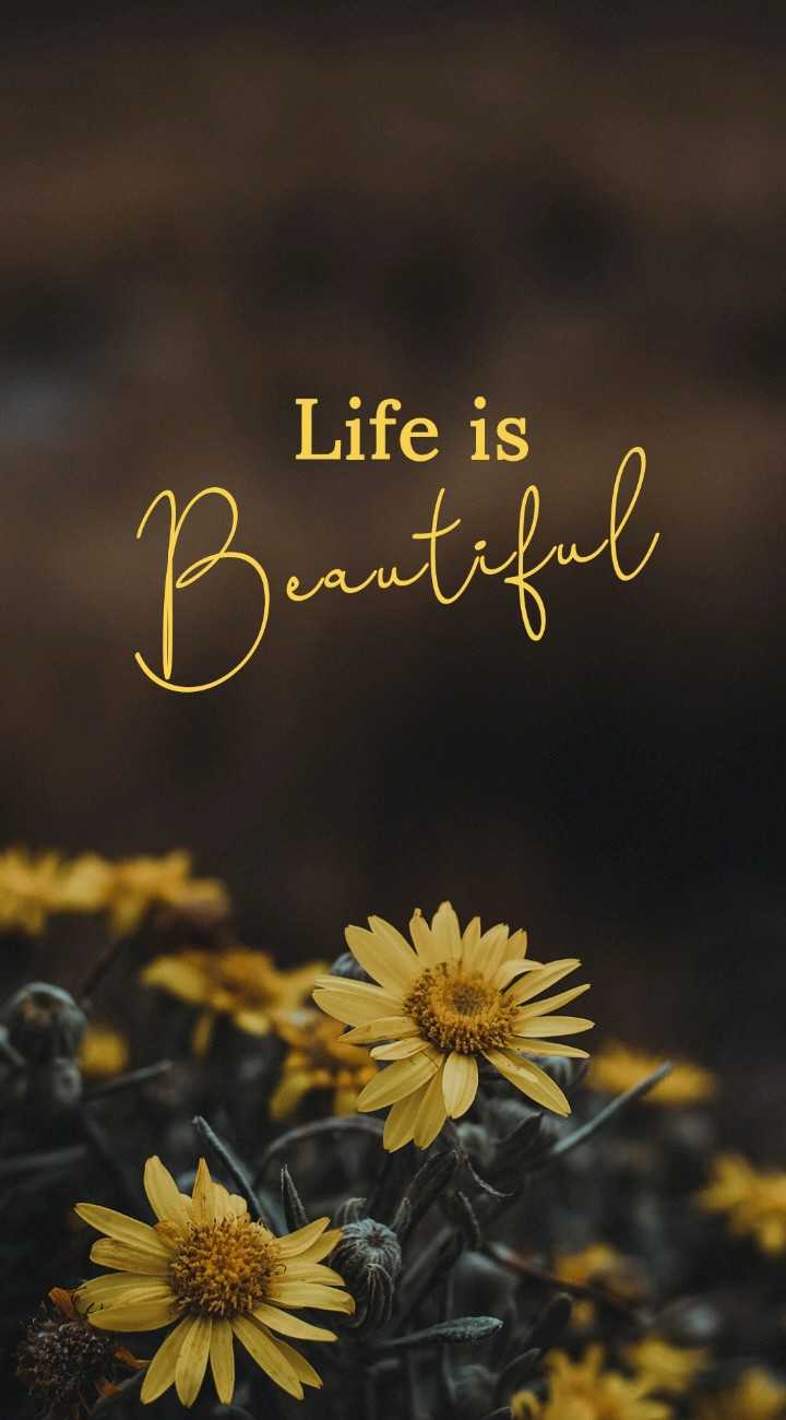 life is beautiful Images • Ziddi Rajputain 30 (@ziddirajputain30