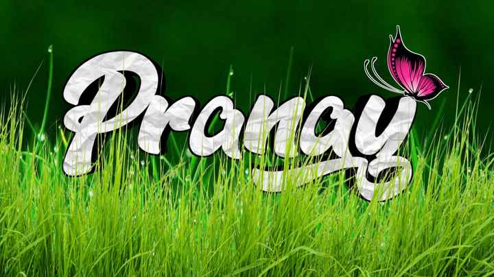 Pranay Name Wallpapers Pranay  Name Wallpaper Urdu Name Meaning Name Images  Logo Signature