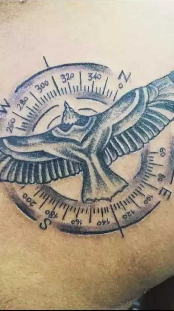 Albatross Symbolism  Meaning Totem Spirit  Omens  World Birds