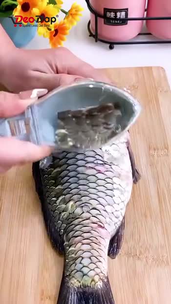 🌞 Good Morning🌞 2195 FISH SCALE SCRAPER SKIN PEELER FISH TOOLS