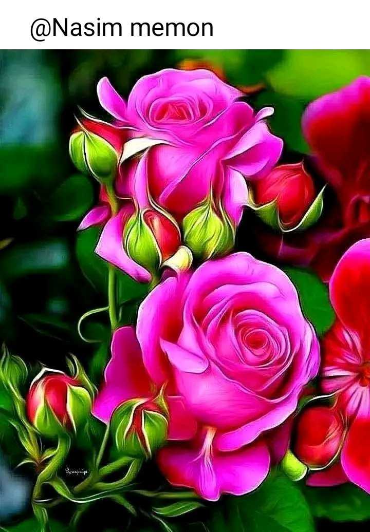beautiful rose wallpaper  ShareChat Photos and Videos