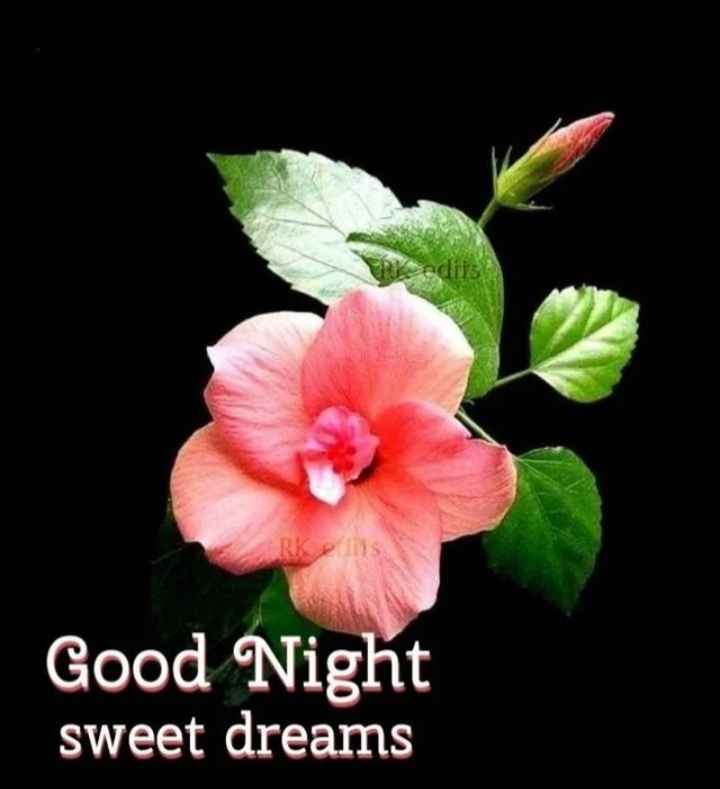 Hawaiian good 2025 night sweet dreams